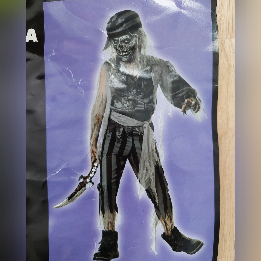 Child Halloween Costume X-Large (8-14yrs)